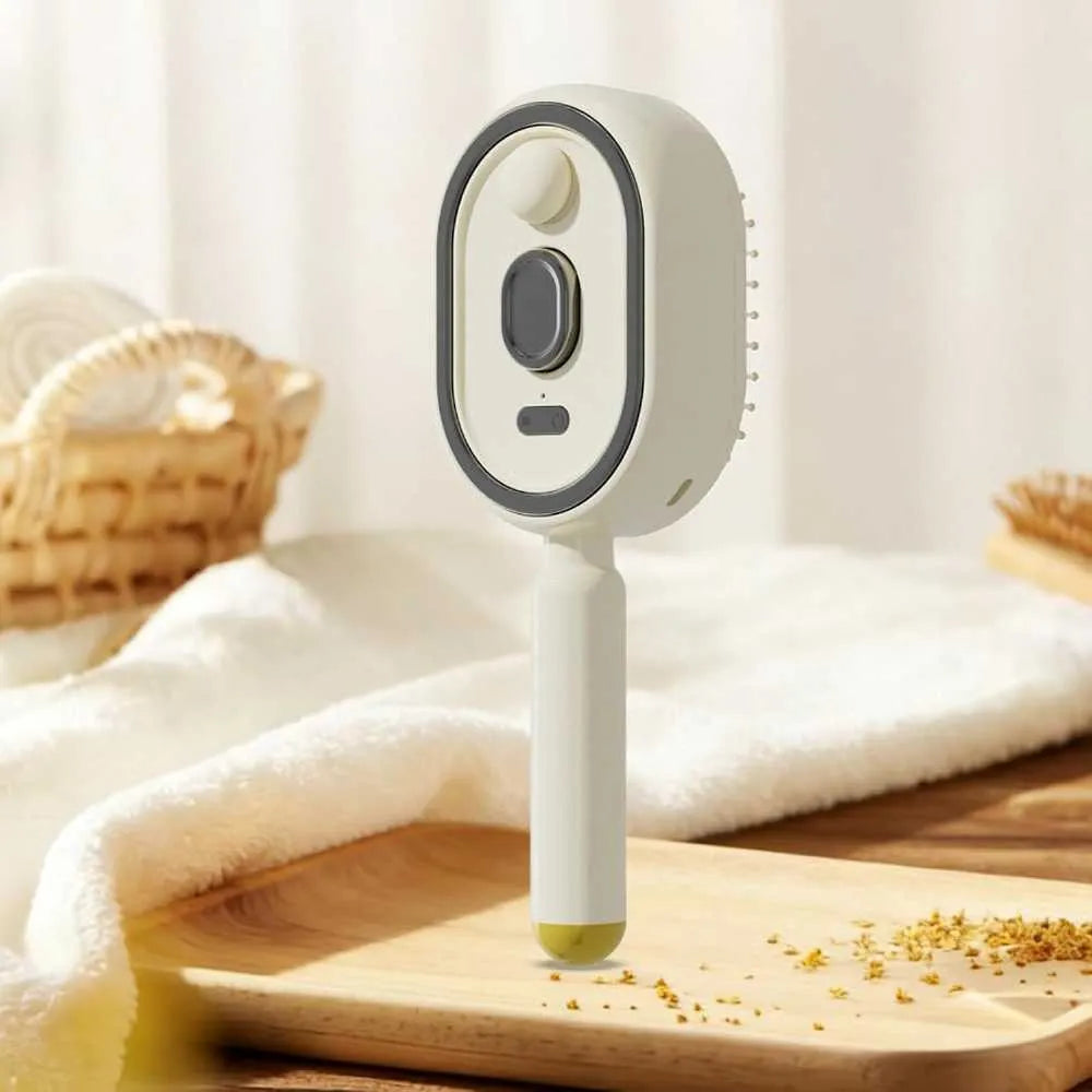 Steam Hair Brush with Oil Mist