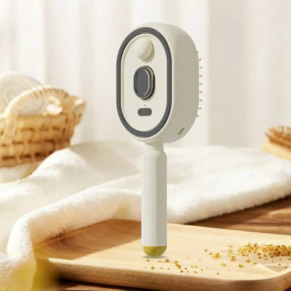Steam Hair Brush with Oil Mist